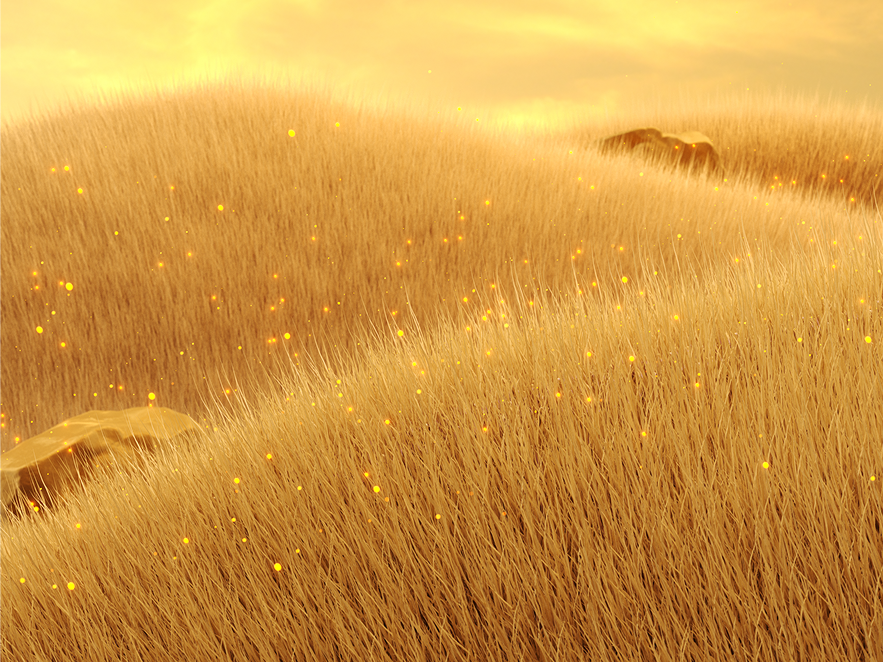 Maize